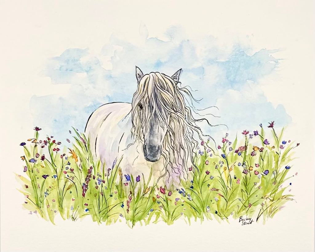 Highland Pony Amongst Wildflowers Illustration