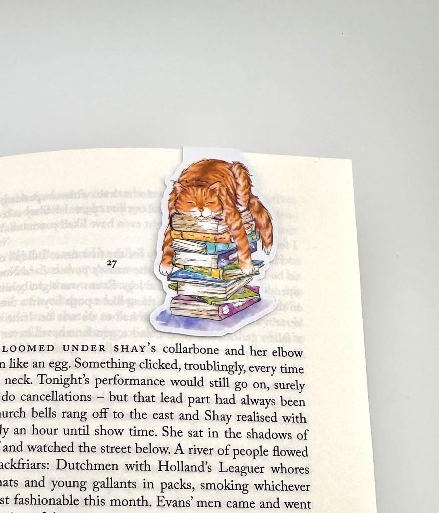 Cat and books magnetic bookmark