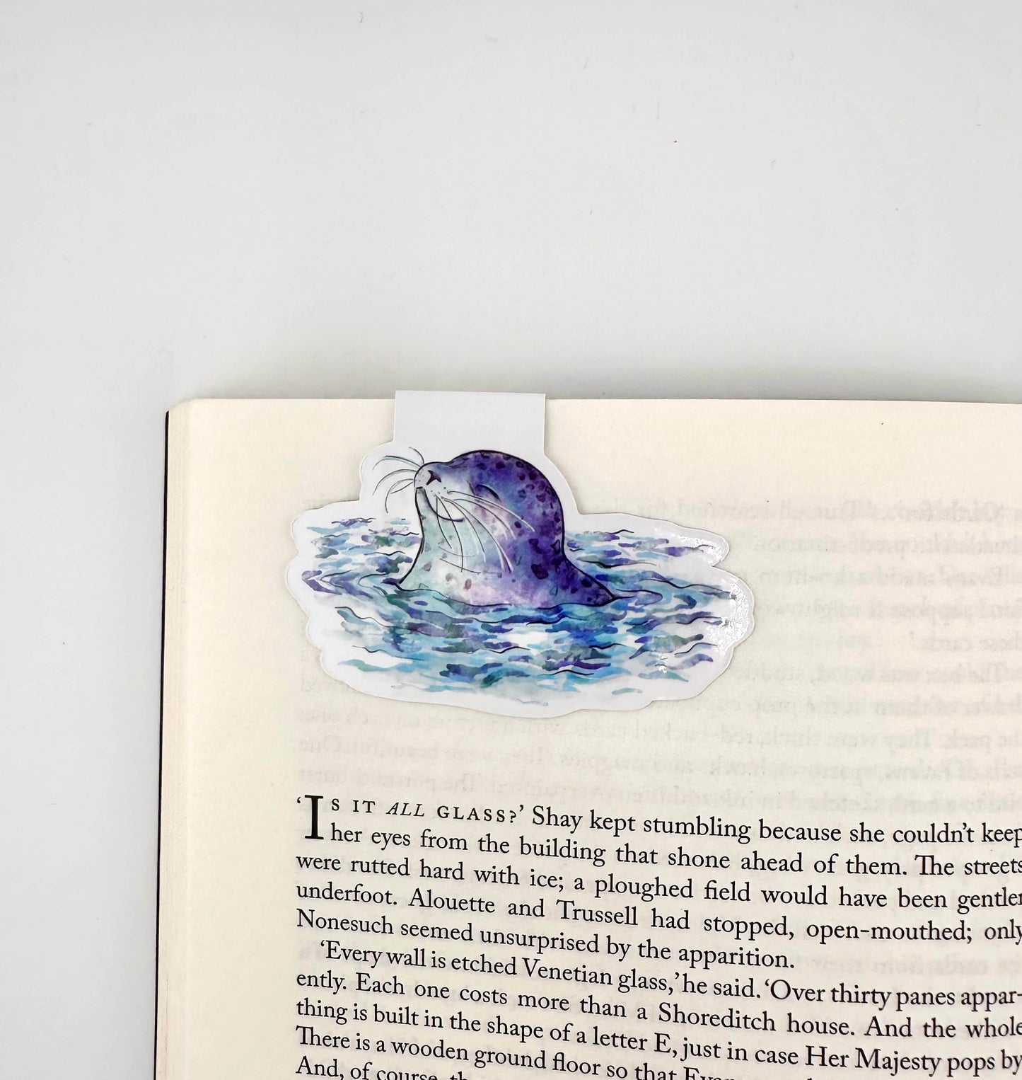 Happy harbour seal magnetic bookmark