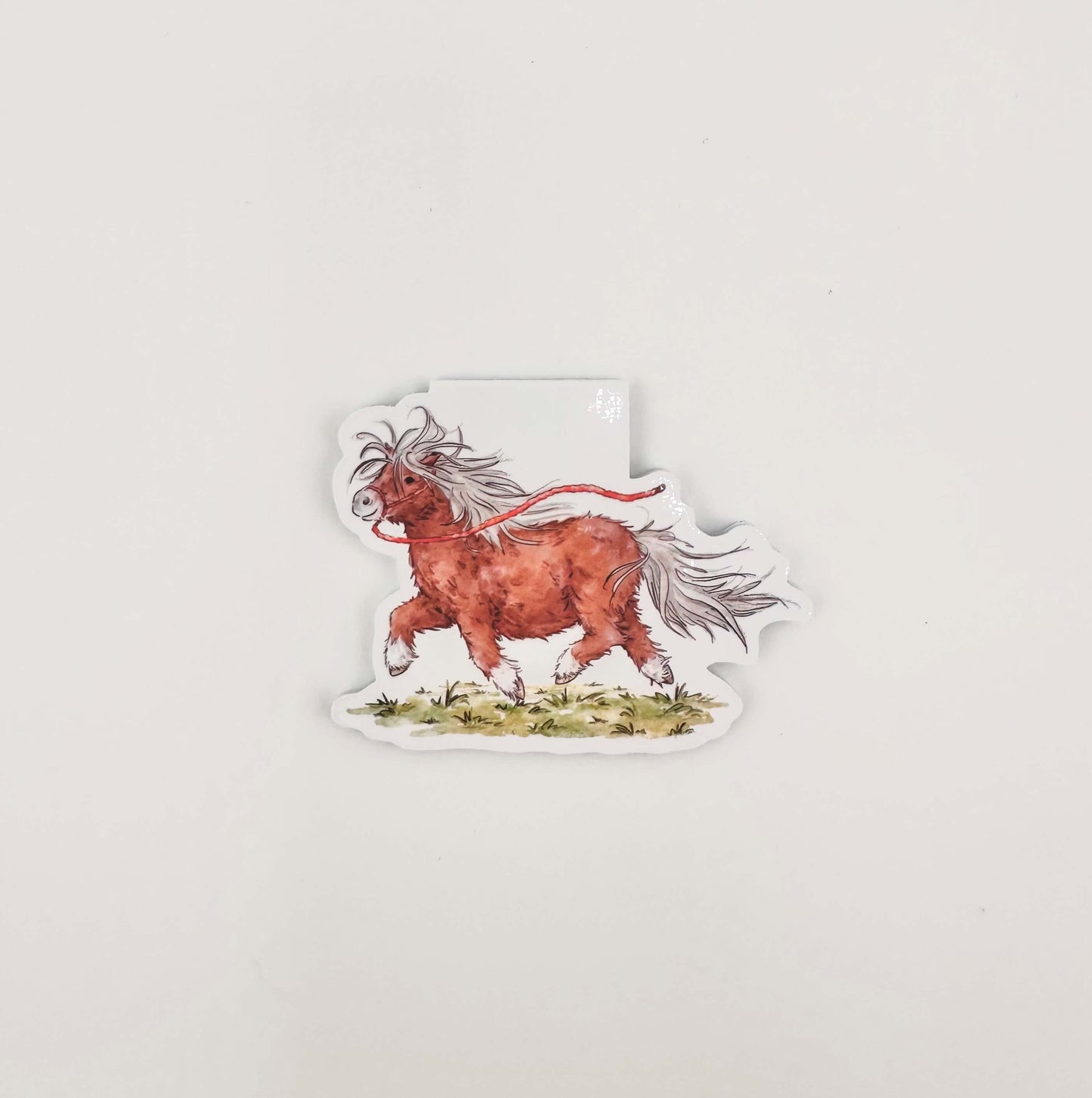 Shetland pony magnetic bookmark