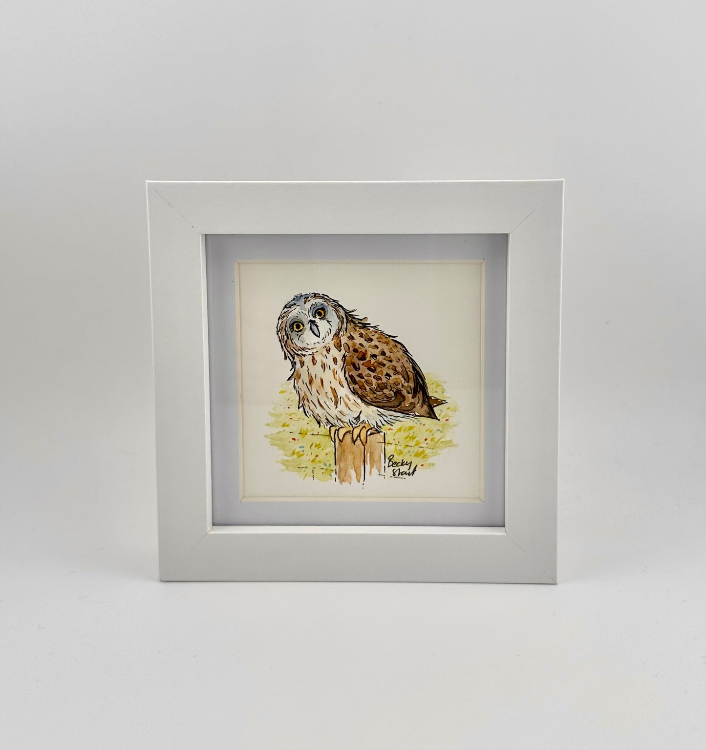 Flabbergasted owl mini Illustration