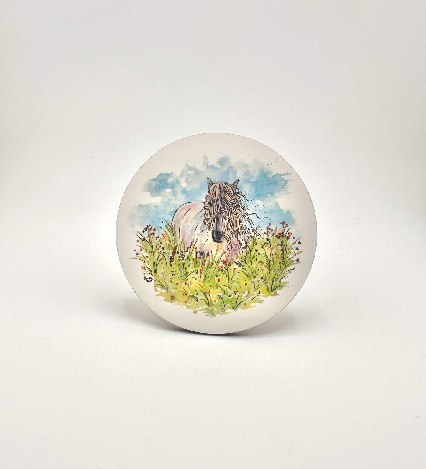 Highland pony in summer mugs and coasters