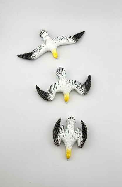 Gannet wall sculptures - Stout Crafted
