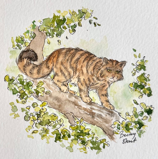 Scottish wildcat mini Illustration - Stout Crafted